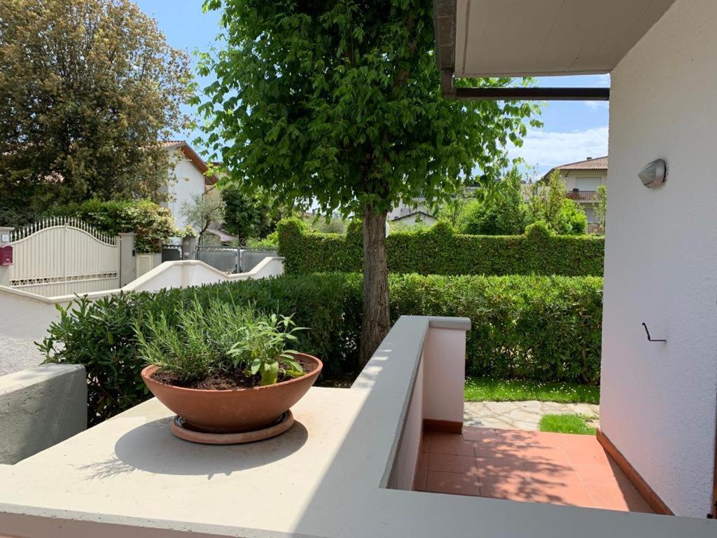 Villetta Cinquale Versilia Buitenkant foto